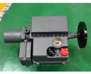 引進型電動執行器